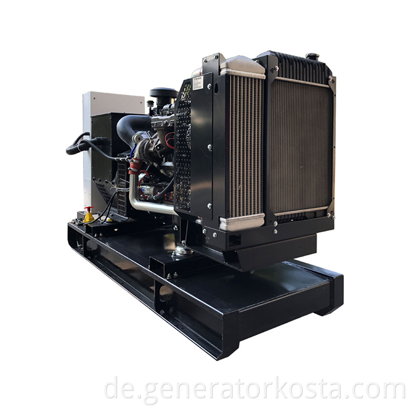 Perkins Diesel Generator